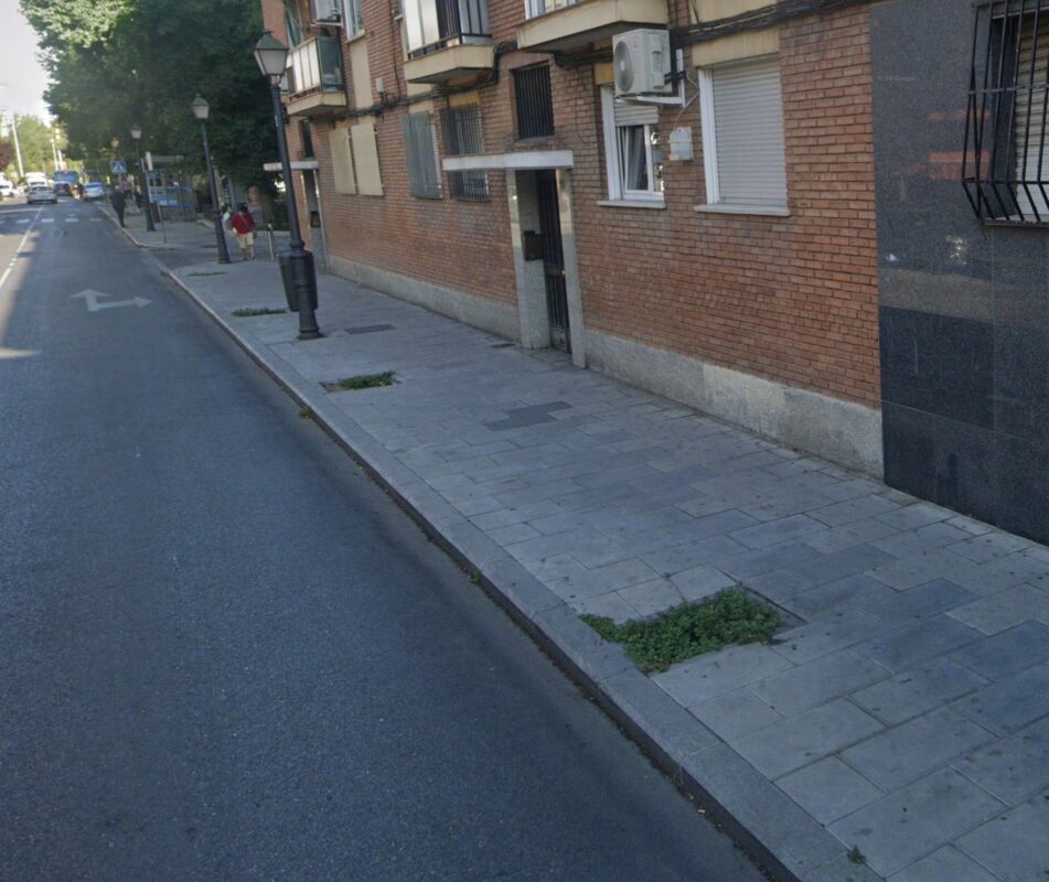 Alcorque vacío en la acera sin ejemplar arbóreo