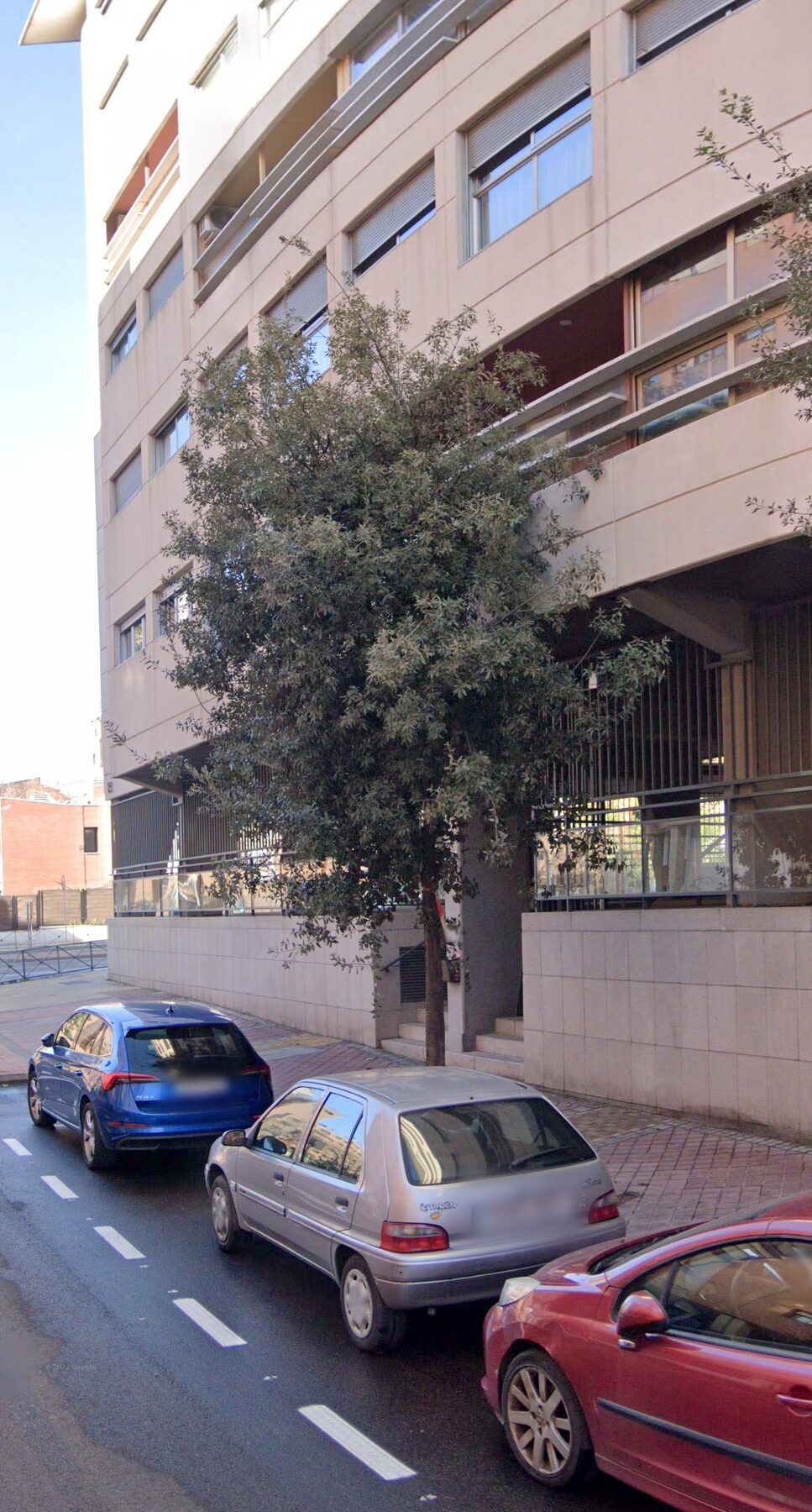 Ramas de árbol obstruyendo la vía peatonal